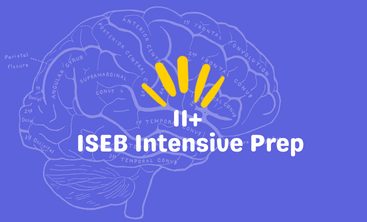 ISEB Intensive Prep